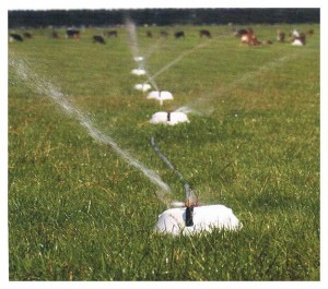 Pasture Irrigation